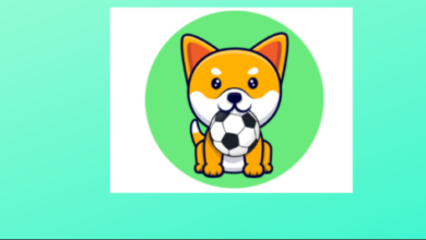 Bereitet sich Minifootball (MINIFOOTBALL) Crypto auf den unglaublichen Bullentrend vor?