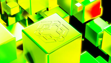 Binance-CEO Changpeng Zhao spricht über den Stand von Binance Smart Chain Nach 564.000.000 $ Cross-Bridge-Exploit