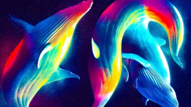 Bitcoin Whale bewegt sich abrupt über 245.000.000 $ in BTC – Hier ist, wohin die Krypto geht