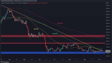 Bitcoin bildet einen riesigen bärischen Keil, kommt ein erneuter Test von 18.000 US-Dollar? (BTC-Preisanalyse)