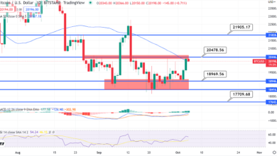 Bitcoin bricht über 20.000 $ – Quick Daily Outlook