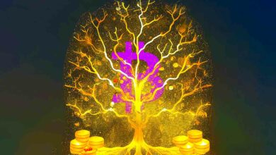 Bitcoin könnte in eine „unaufhaltsame Reifungsphase“ eintreten, sagt Bloomberg-Stratege Mike McGlone – hier ist der Grund