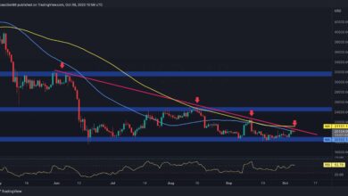 Bitcoin steht vor großem Widerstand, werden 20.000 $ halten oder kommt ein weiterer Rückgang? (BTC-Preisanalyse)
