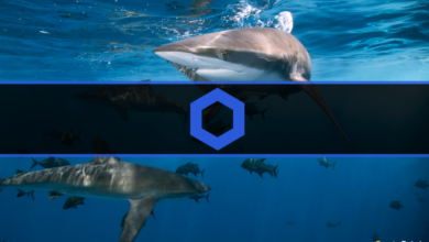 Chainlink Haie und Wale fügen LINK in sechs Monaten im Wert von 313 Millionen US-Dollar hinzu