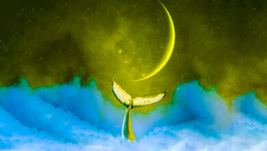 Crypto Whales protzen mit über 312.000.000 $ auf One Ethereum-Basierter Altcoin in Massive Accumulation Frenzy: Santiment