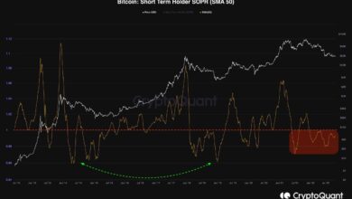Das Gute und das Schlechte, da BTC bereit für einen großen Schritt zu sein scheint (Bitcoin-Preisanalyse)