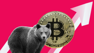 bitcoin bear