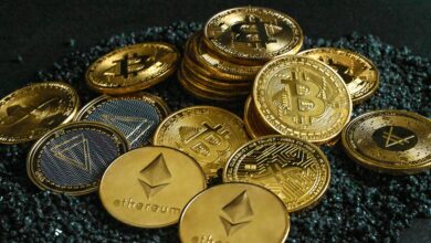 Die Dominanz der Altcoin-Börse steigt auf 50 %, was bedeutet das für Bitcoin?