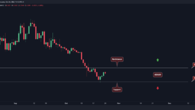 Dies ist das nächste Ziel von Cardano nach einem Anstieg um 5 % am Wochenende (ADA-Preisanalyse)