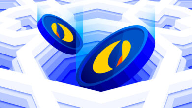 Do Kwon sagt, der Zusammenbruch von Terra Luna im Wert von 40.000.000.000 US-Dollar sei „meine Verantwortung – und allein meine Verantwortung“