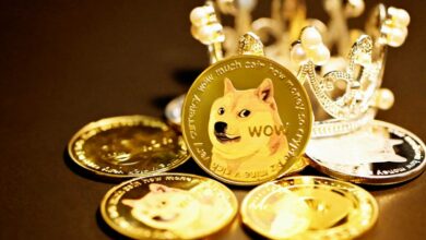 Dogecoin (DOGE)