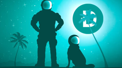 Dogecoin (DOGE) wird inmitten einer „wahnsinnigen“ Akkumulation viel höher explodieren, sagt ein Händler, der den Bitcoin-Boden für 2018 vorhergesagt hat