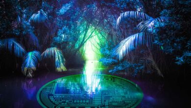 Ehemaliger Google-CEO sagt One Ethereum-basierter Altcoin hat einen massiven Vorsprung vor seinen Konkurrenten