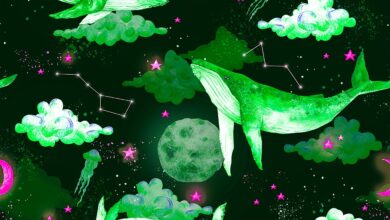 Ethereum Wal bewegt sich abrupt über 124.000.000 $ in ETH – Hier ist, wohin die Kryptos gehen