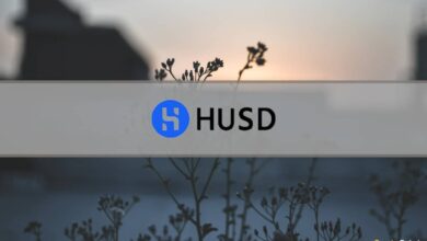 HUSD 'Stablecoin' fällt nach Delisting von Huobi auf 0,3 $