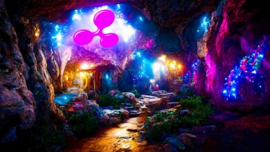 Krypto-Anwalt prognostiziert nächsten Einzug Ripple und XRP-Klage nach SEC-Beweisrückschlag