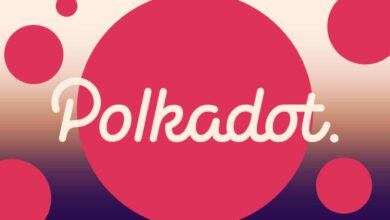 Polkadot Price