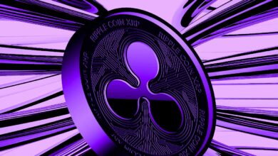 Ripple CEO bezeichnet das Verhalten der SEC als „schockierend“, nachdem die Aufsichtsbehörde gezwungen war, neue Details in einer wegweisenden Krypto-Klage zu veröffentlichen