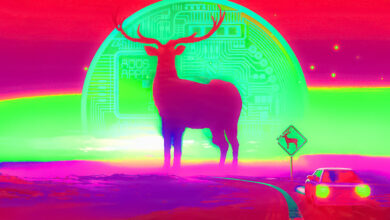 Shark-Tank-Milliardär Kevin O'Leary aktualisiert Krypto-Bärenmarktausblick und sagt, dass die SEC den nächsten Bull Run auslösen kann