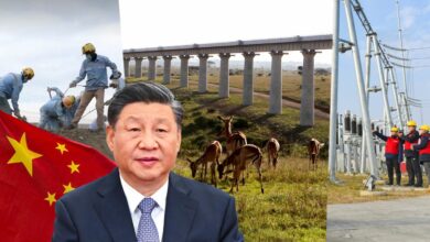 Shelby Holliday – Wie China plant, seine ins Wanken geratene „Gürtel und Straße“-Initiative zu retten