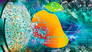 Solana-basierte Krypto-Handelsplattform Mango Markets bereit, Deal mit Hacker hinter 100.000.000-Dollar-Exploit abzuschließen