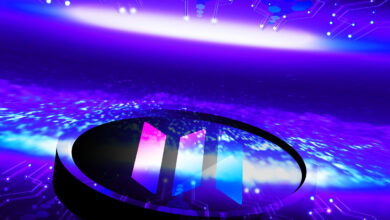 Top Crypto Exchange Coinbase fügt zwei Assets im Zusammenhang mit dem Solana (SOL) Staking-Projekt zu seiner Listing-Roadmap hinzu