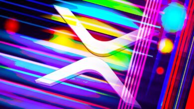 Überweisungsunternehmen und zusätzliche verbindliche Beitrittsanfrage Ripple und XRP-Klage mit SEC