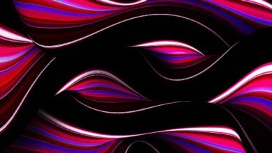 Warteliste für dezentralisiertes Social-Media-Netzwerk, das von Twitter-Gründer Jack Dorsey unterstützt wird, sammelt 30.000 Unterschriften