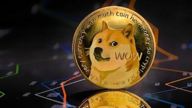 Dogecoin doge price