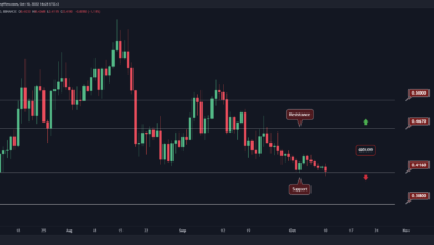 Wird Cardano diese wichtige Unterstützung verlieren? Hier ist das nächste rückläufige Ziel (ADA-Preisanalyse)