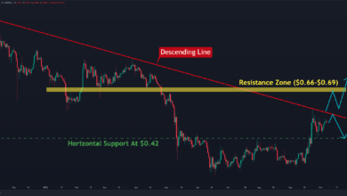 XRP bricht zum dritten Mal nicht über 0,50 $, Crash kommt? (Ripple Preisanalyse)