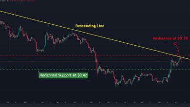 XRP steigt in sieben Tagen um 7 %, aber besorgniserregende Anzeichen beginnen zu explodieren (Ripple Preisanalyse)