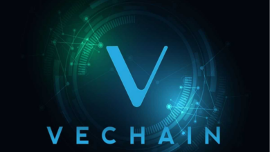VeChain