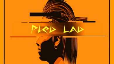 Accelerator, Pleb Lab logo