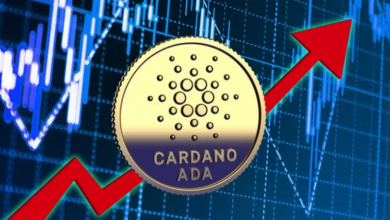 Cardano