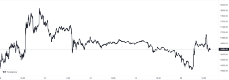 Bitcoin-Preisdiagramm