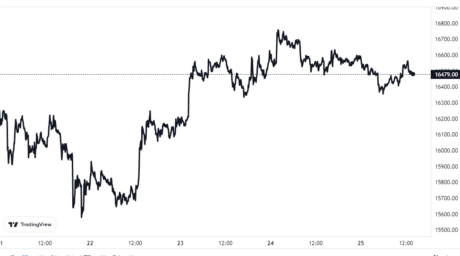 Bitcoin-Preisdiagramm