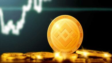 Binance Coin (BNB)