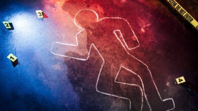 bitcoin bloodbath crypto