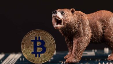 Bitcoin bear