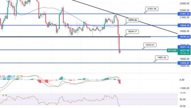Bitcoin stürzt ab, da Binance beschließt, FTX nicht zu retten: Täglicher Ausblick