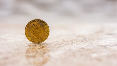 Bitcoin Will Not Touch $100k Anytime Soon Says Economist