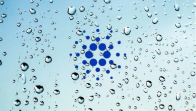 Cardano