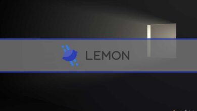 Crypto Exchange Lemon Cash reduziert sein Team um 38 %
