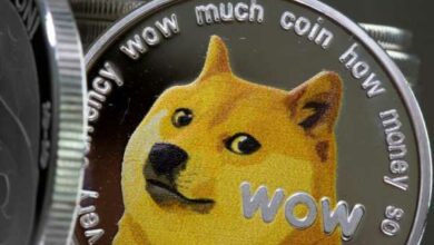 Cryptoverse-Elon Musk befreit den Vogel und den Hund coin fliegt