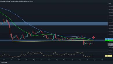 Die Bitcoin-Volatilität bricht ein, aber Anzeichen für einen Tiefpunkt zeigen sich (BTC-Preisanalyse)