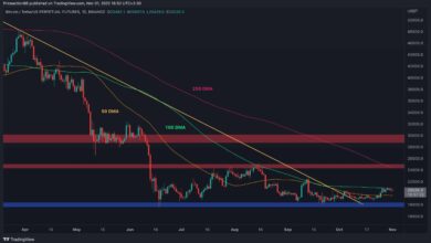 Die Rallye von Bitcoin wurde bei 21.000 $ gestoppt, dieses Niveau muss gehalten werden, um eine weitere rückläufige Bewegung zu verhindern (BTC-Preisanalyse)