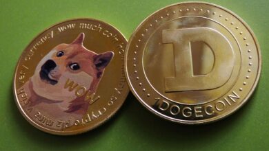 Dogecoin rutscht auf Unterstützung von 0,11 $; Diese Indikatoren deuten auf eine rückläufige Schwäche hin