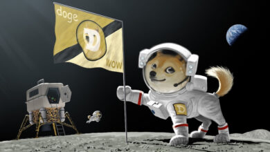 Picture of a Shiba Inu dog holding a Dogecoin flag in space