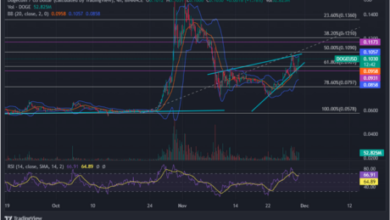 Dogecoin steigt: Über 60 % der Inhaber profitieren trotz FTX-Albtraum weiter